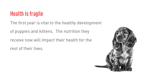 Health is fragile.