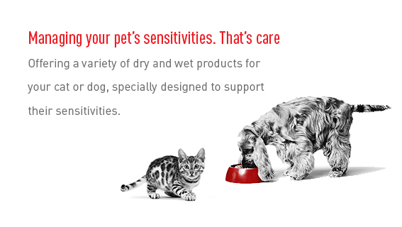 Royal Canin - Managing your pet's sensitivities. That's care.
