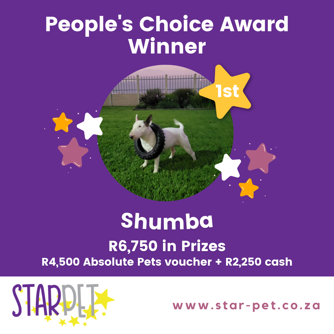 StarPet winners3