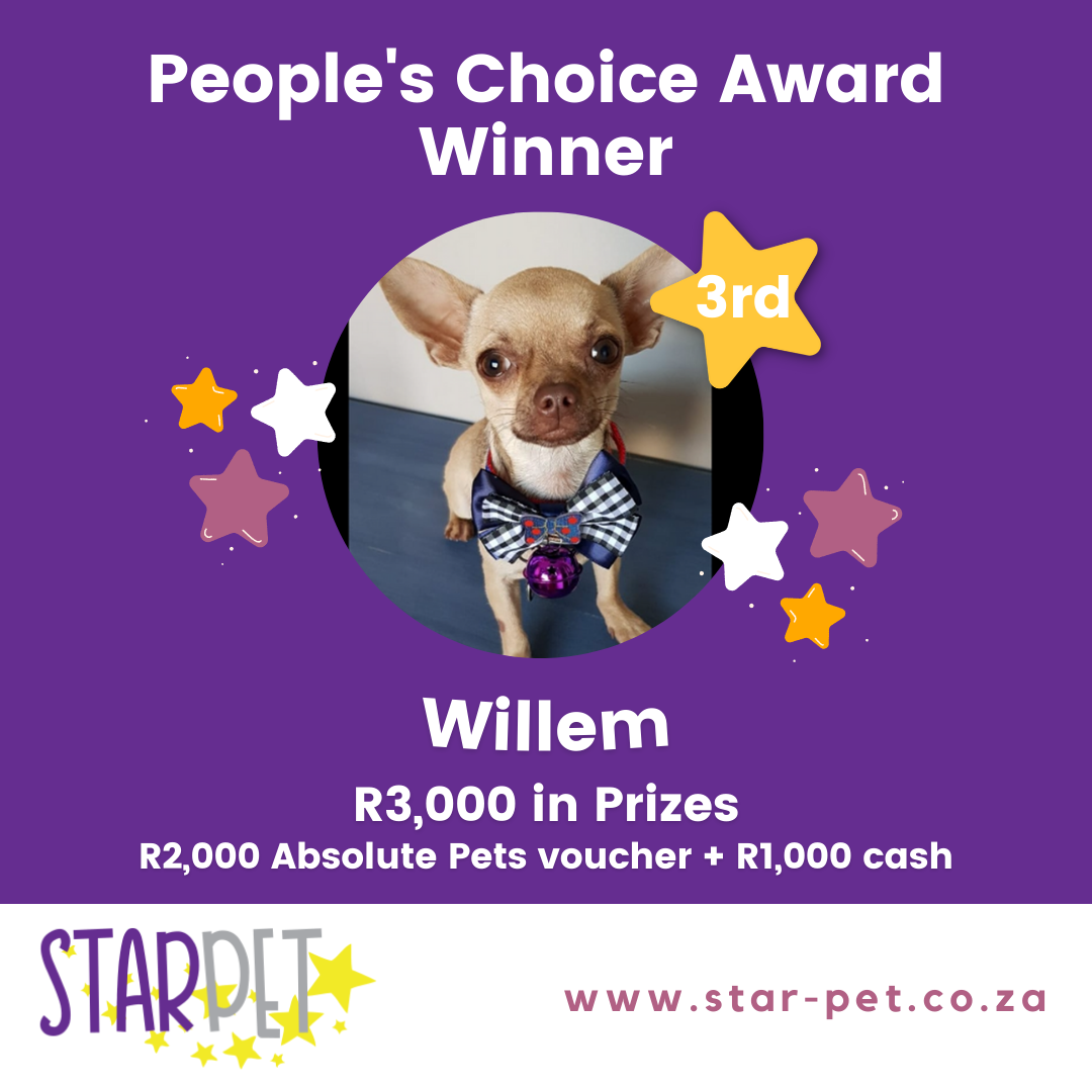 StarPet winner