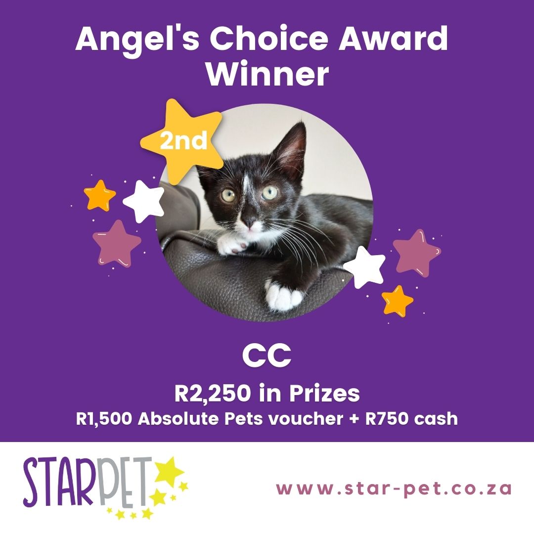 StarPet Angle's Winners 2