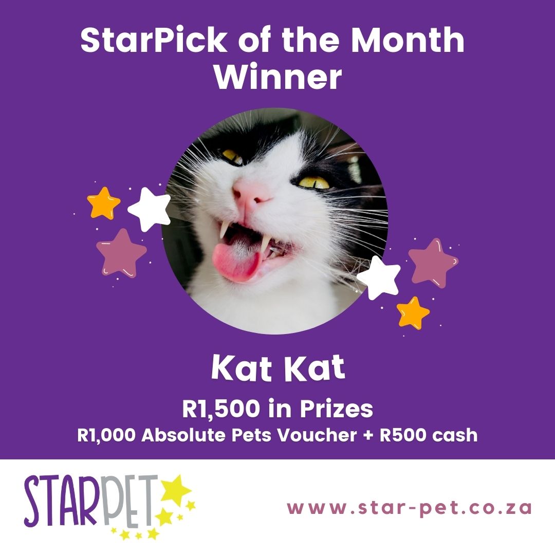 StarPick of the month winner