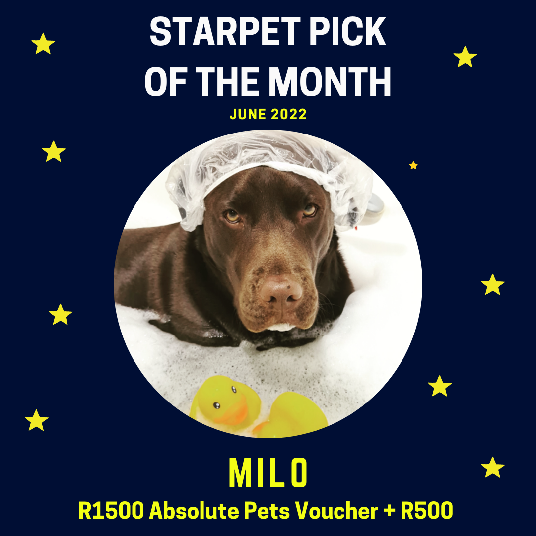 Starpet Milo