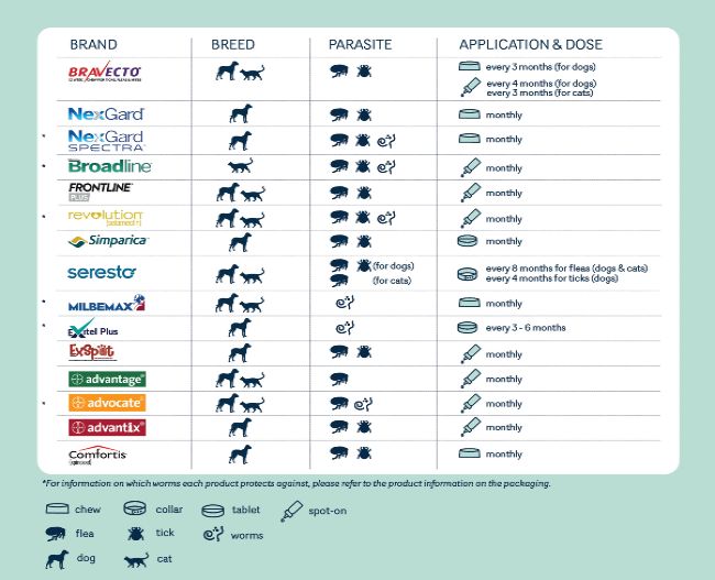 Routine Care Guide table