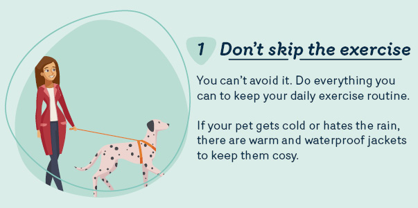 Don't skip exercising your dog