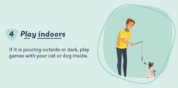 Play with your pet indoors